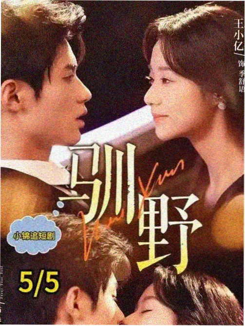 晓晓影视资讯 午夜场加座观察 沙丘里的收音机